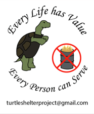 turtle shelter